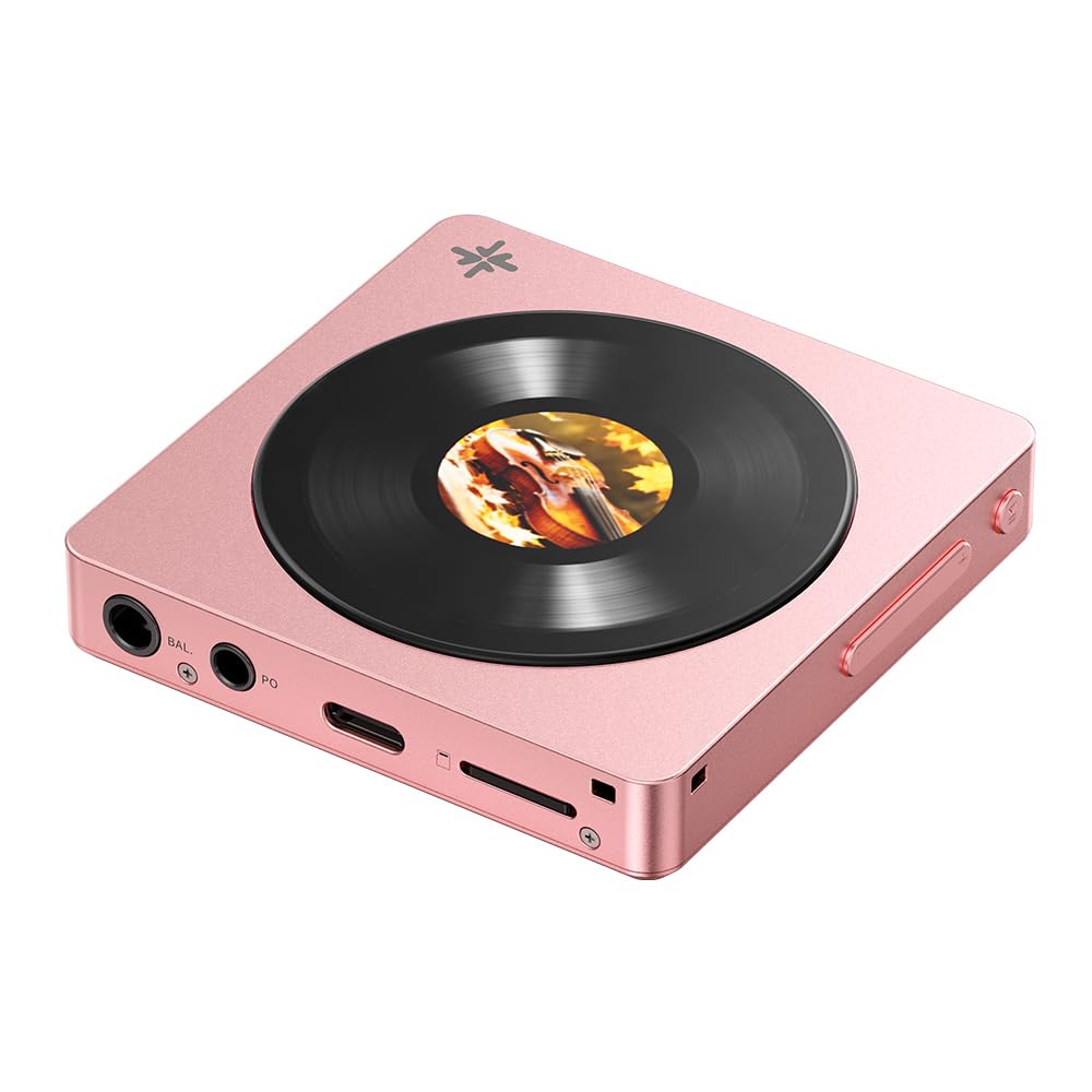 Amazon.co.jp: FIIO Snowsky DISC FIO-SSDISC【日本正規品・シリアル